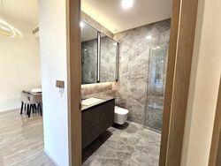 Leedon Green (D10), Condominium #520866041
